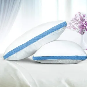 2-Pack: Premium Gusseted Pillows