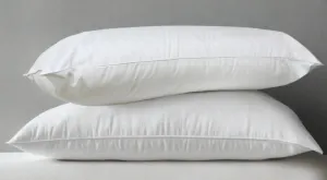 BCL Collection T-180 Cotton Blend Shell 2 PK Pillows