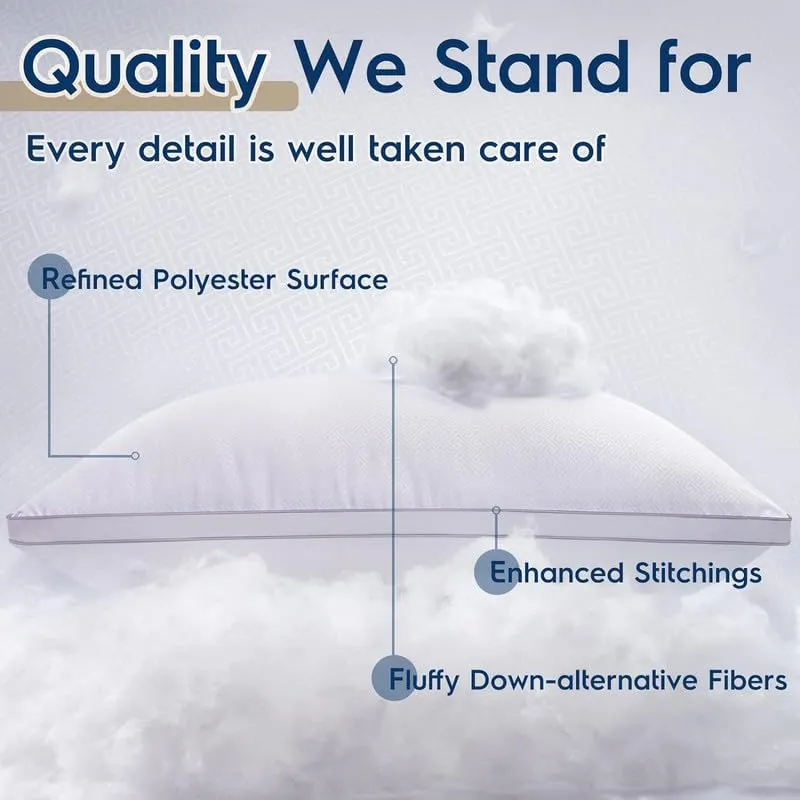 Raza Microfiber Queen Pillows for Sleeping 2 Pack Hotel Quality Down Alternative Hypoallergenic for Side and Back Sleepers Soft and Supportive Pillow (20x30 White)